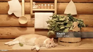 深圳桑拿按摩会所服务特色深度解析，舒缓身心，焕发活力 poster