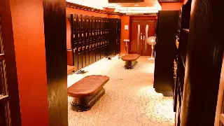 深圳桑拿文化溯源：名人与养生保健的传奇故事 poster