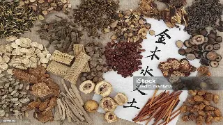 深圳桑拿按摩界的传奇人物：那些鲜为人知的名人轶事 poster