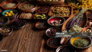 桑拿按摩与历史名人：一窥养生背后的逸闻趣事