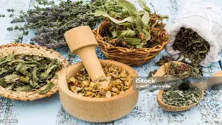 解密桑拿历史长河：名人的桑拿轶事与养生智慧的启示