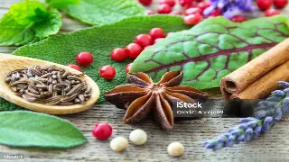 告别千篇一律：深圳按摩会所的特色服务，让你体验不止是放松！