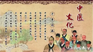 深圳按摩初体验？别慌！这份靠谱攻略让你秒变老司机 海报