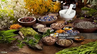 深圳按摩：不止放松，更是身心栖息地的隐秘角落